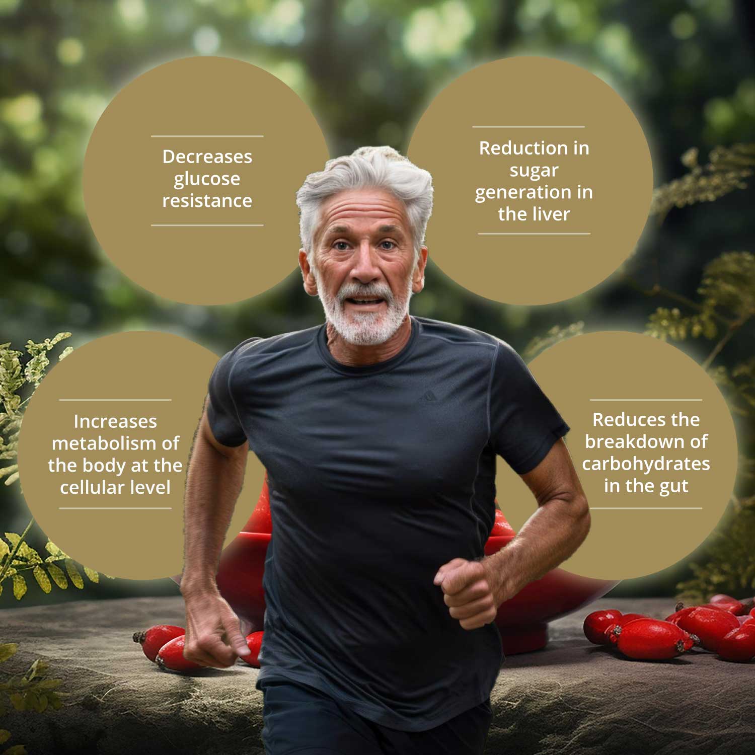 Sushrut Ayurved Good Health Berberine Veg Capsules - Grab2buy