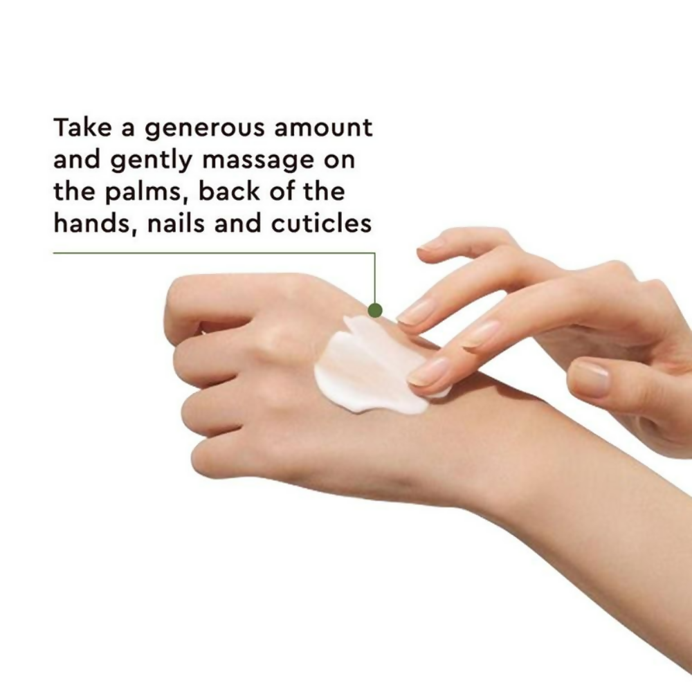 The Face Shop Non-Greasy Vegan Hand Cream - Noon Park With Hyaluronic Acid  Grab2Buy The Face Shop Grab2Buy