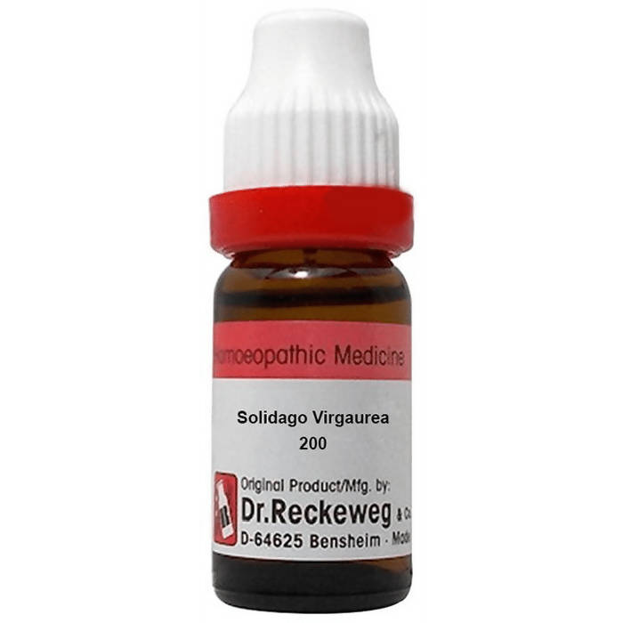 Dr. Reckeweg Solidago Virgaurea Dilution - Grab2buy