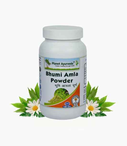 Planet Ayurveda Bhumi Amla Powder 