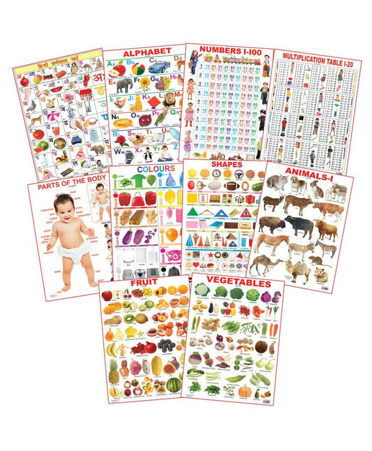 Dreamland Educational Charts - Combo 1 (10 Charts) : Children Early Learning Laminated Chart
