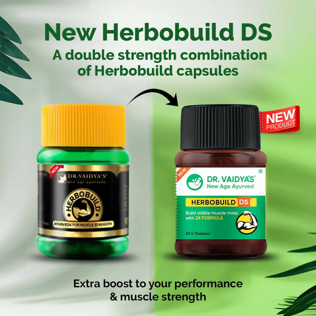 Dr. Vaidya's Herbobuild DS (Double Strength) Tablets 