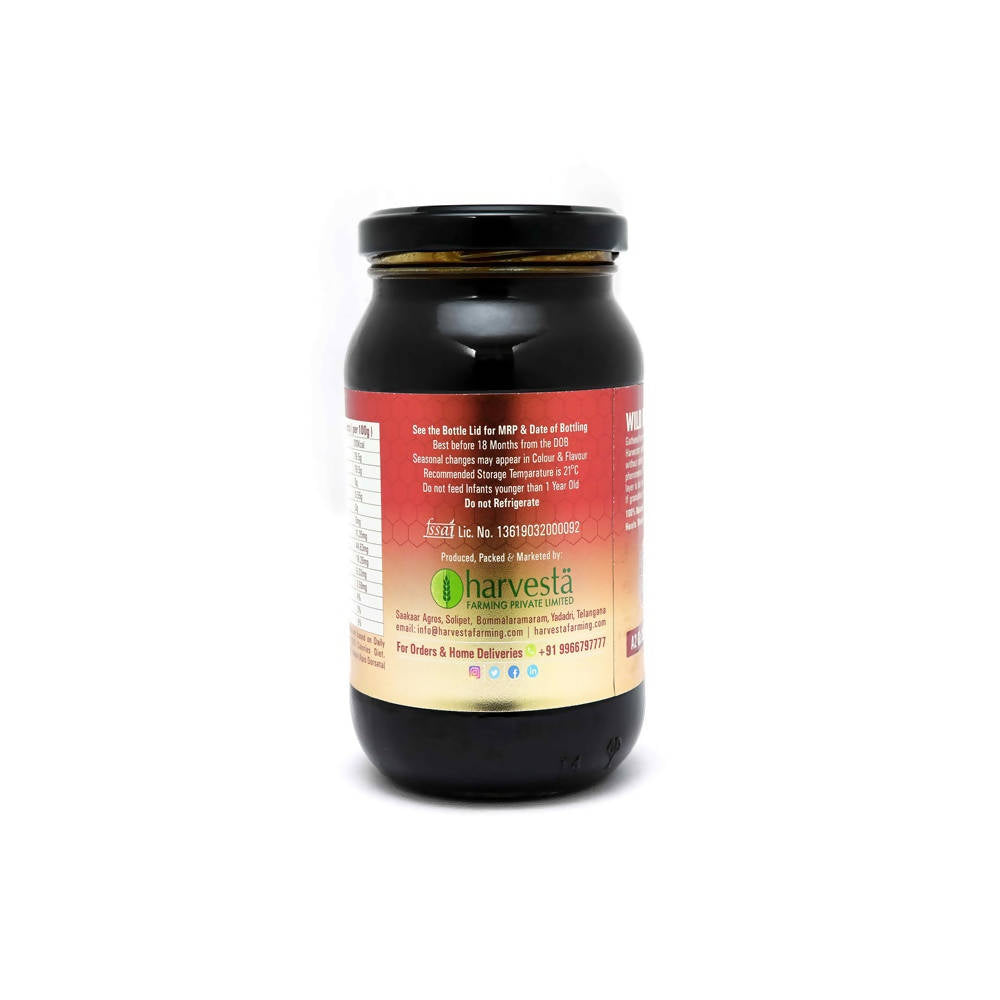 Nature's Trunk Wild Honey (Multi-Floral) 