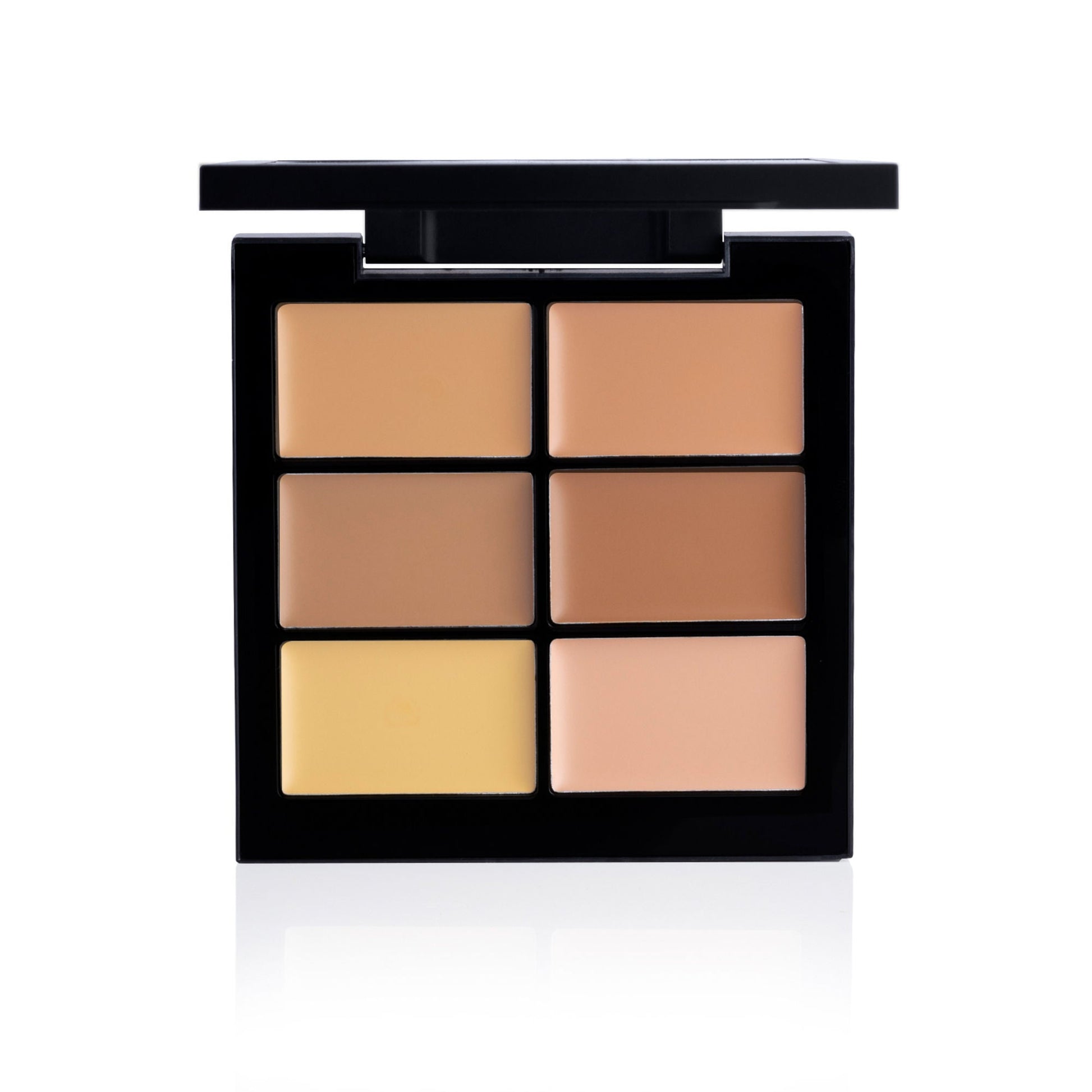 PAC Studio Go Medium - Concealer X6