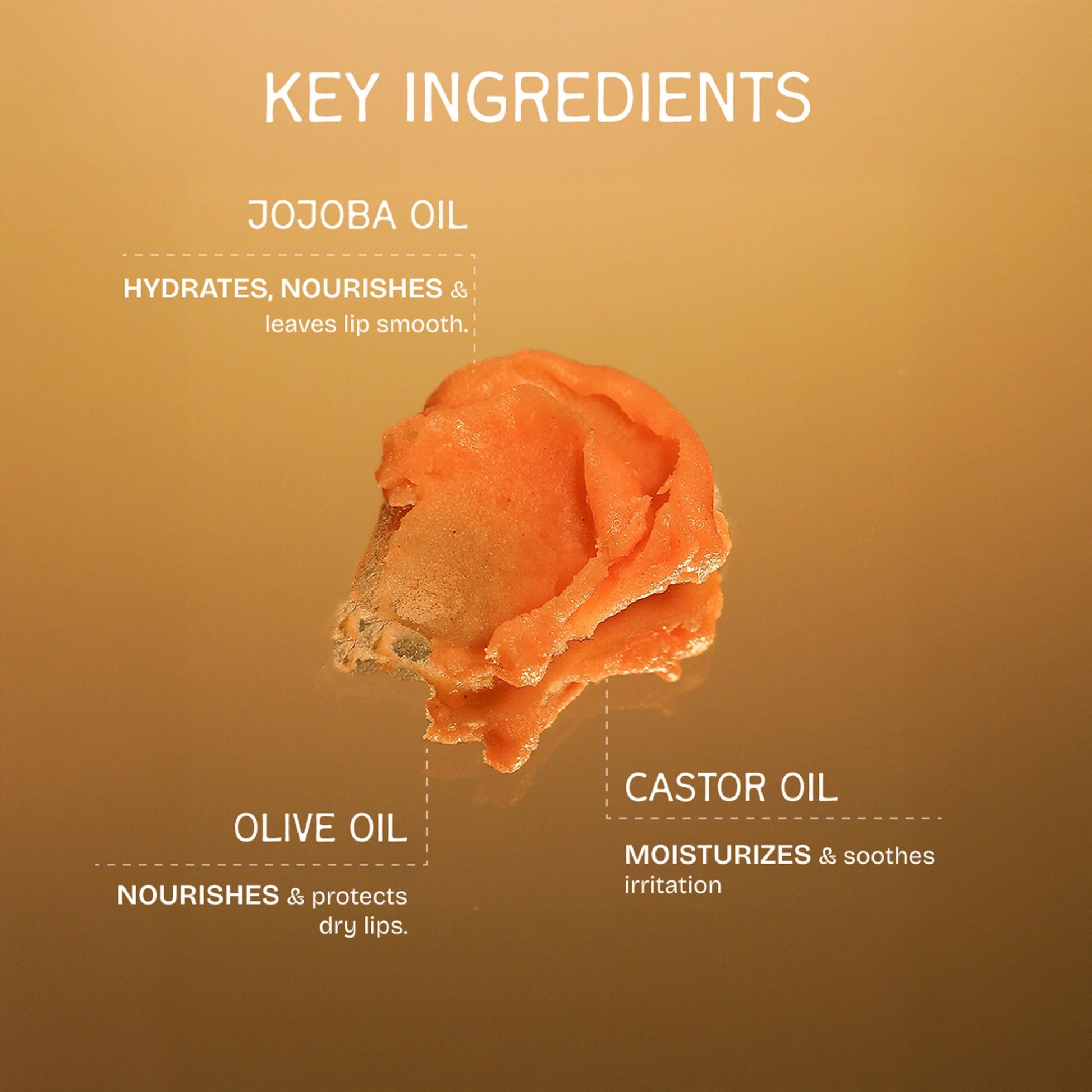 The Bare Bar Berry Blast Lip Balm - Buttery Moisture For Pigmented, Dry Lips - Gulab  Grab2Buy The Bare Bar Grab2Buy
