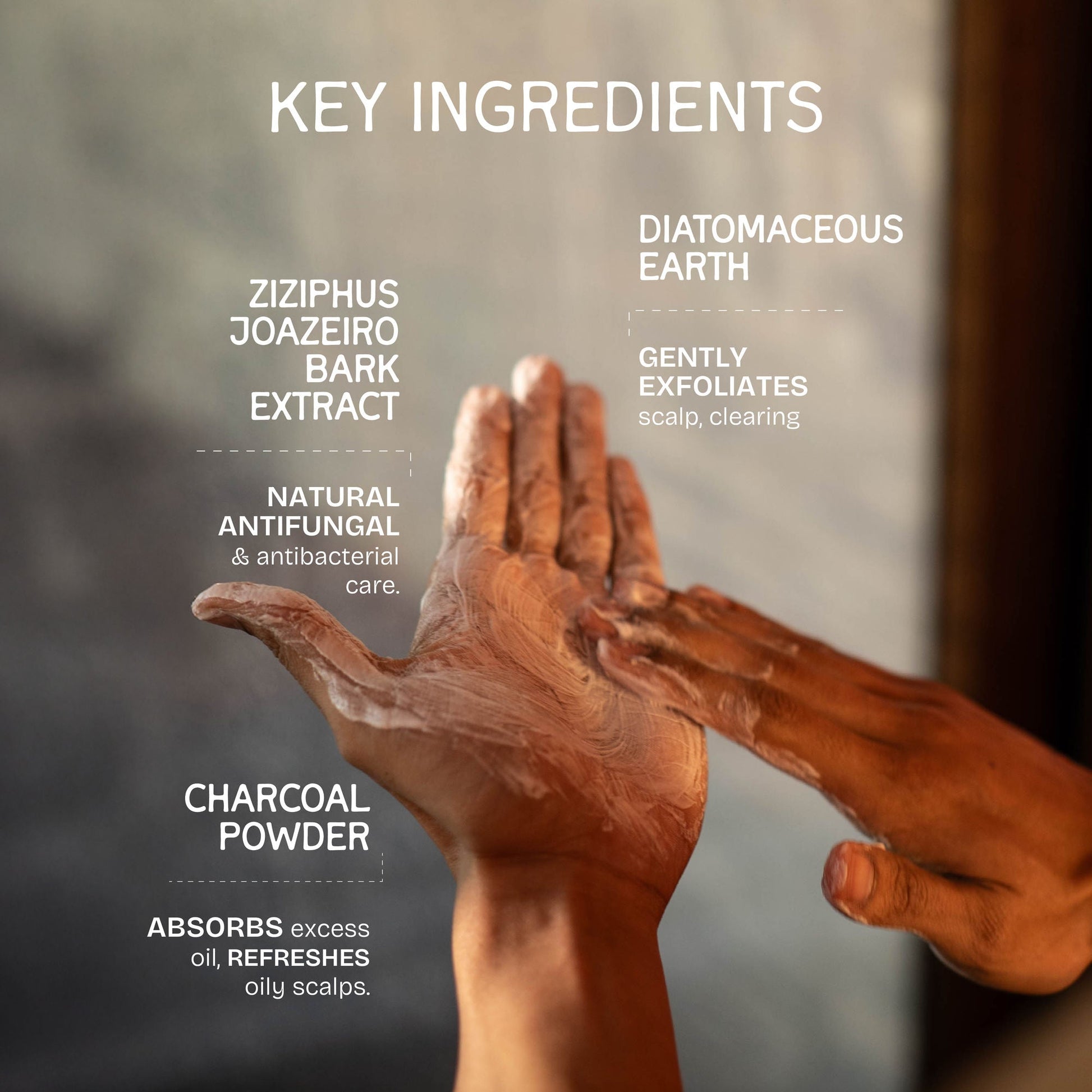 The Bare Bar Flakes Away Exfoliating Shampoo-Clears Scalp Buildup, Soothes & Hydrates Without Grease  Grab2Buy The Bare Bar Grab2Buy