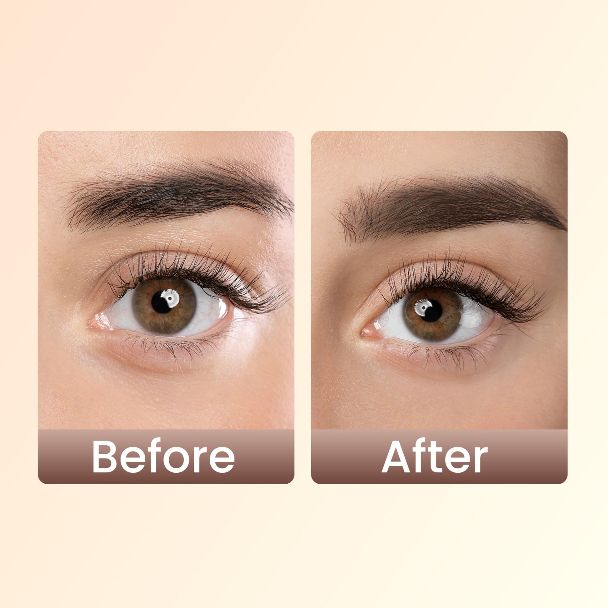 Swiss Beauty Brow Definer Pencil - 01 Chestnut