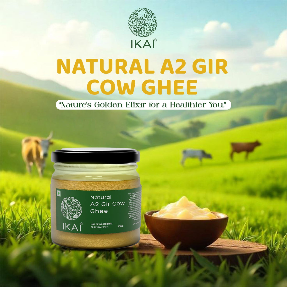 IKAI Natural A2 Gir Cow Ghee 