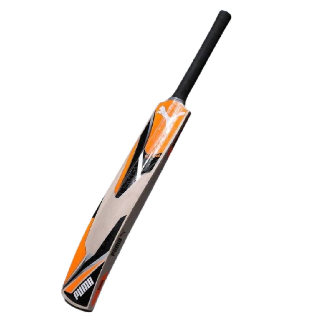 Puma Future Kashmir Willow Cricket Bat 
