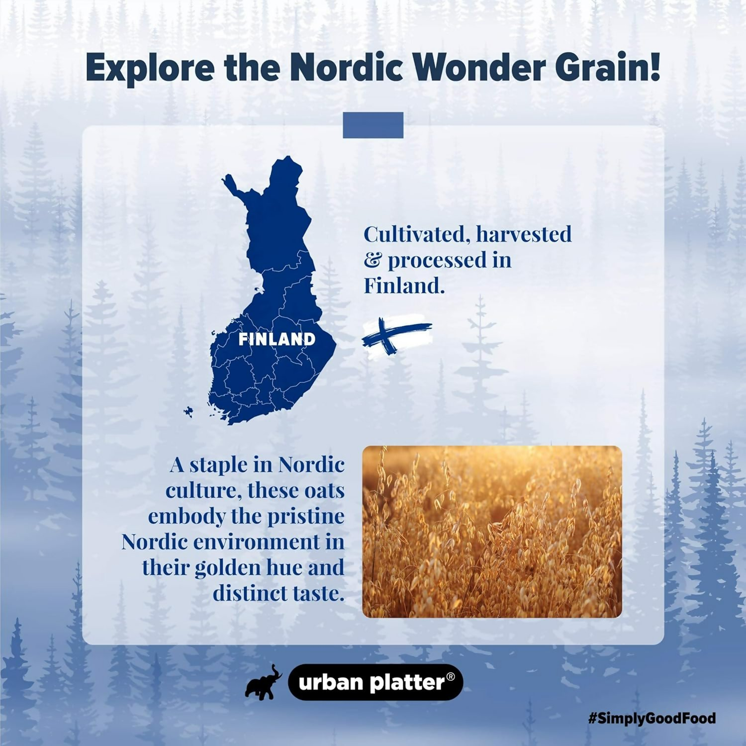 Urban Platter Rolled Oats  Grab2Buy Urban Platter Grab2Buy