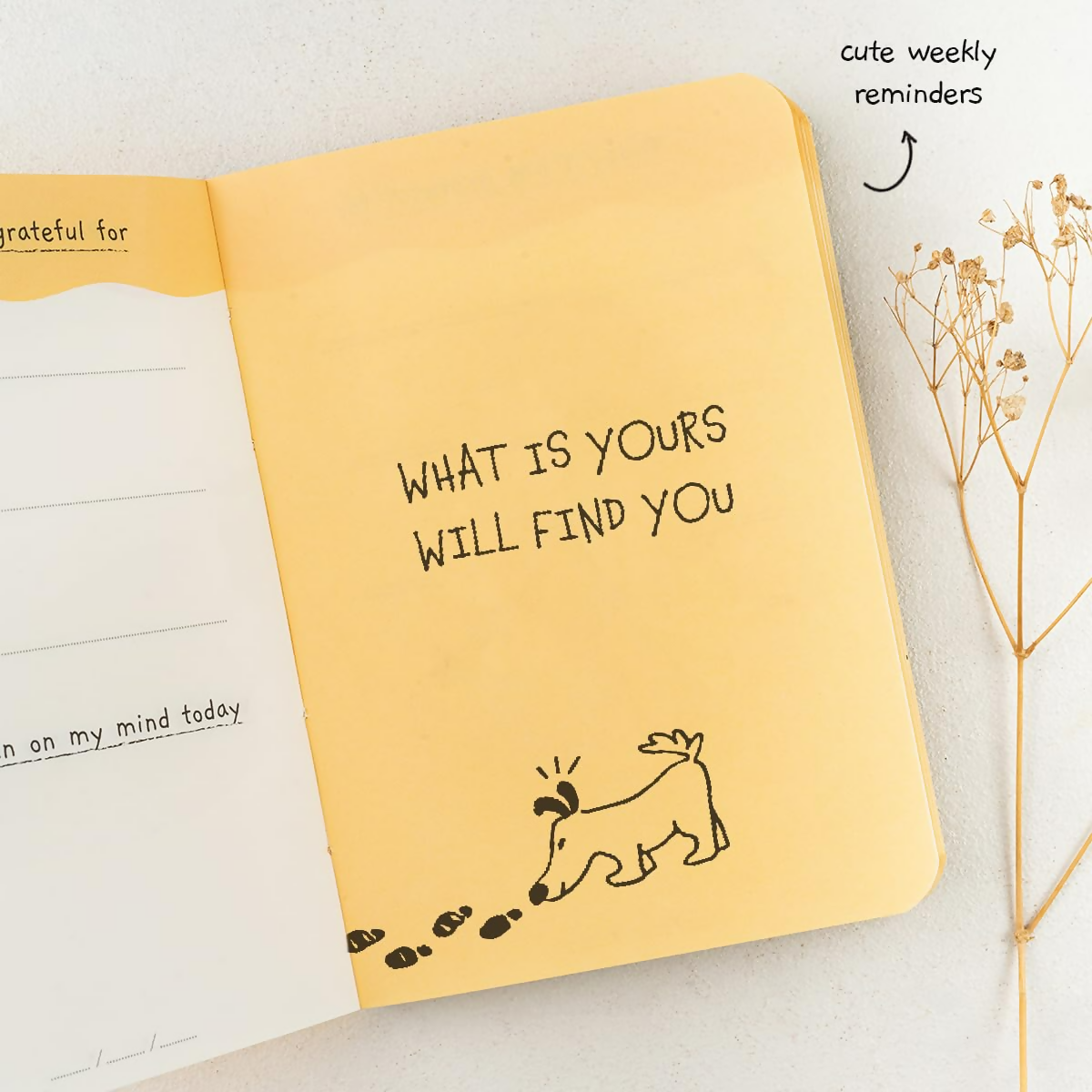 The Journal Lab Pocket Gratitude Journal Pocket Friendly For Men & Women  Grab2Buy Generic Grab2Buy