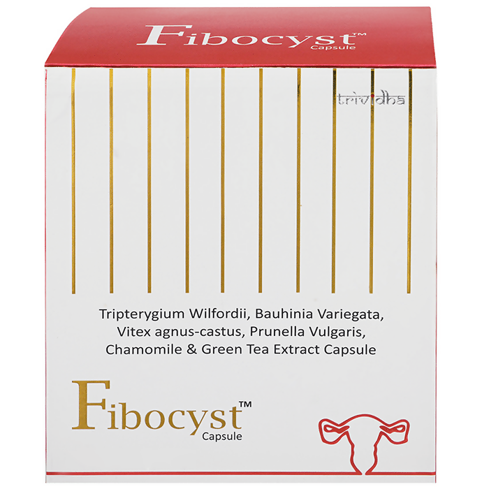 download - 2024-10-01T173426.489