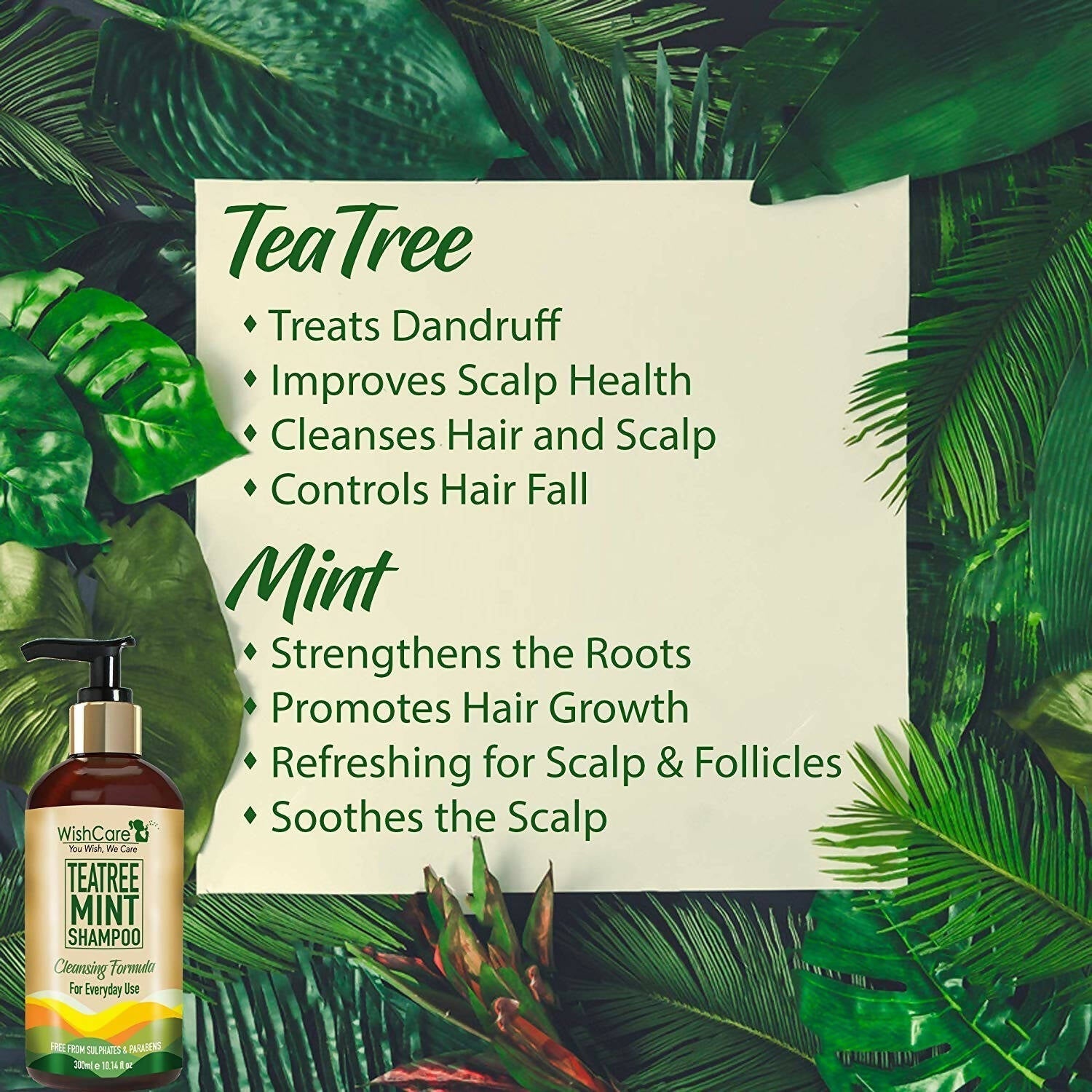 Wishcare Tea Tree Mint Shampoo  Grab2Buy Wishcare Grab2Buy
