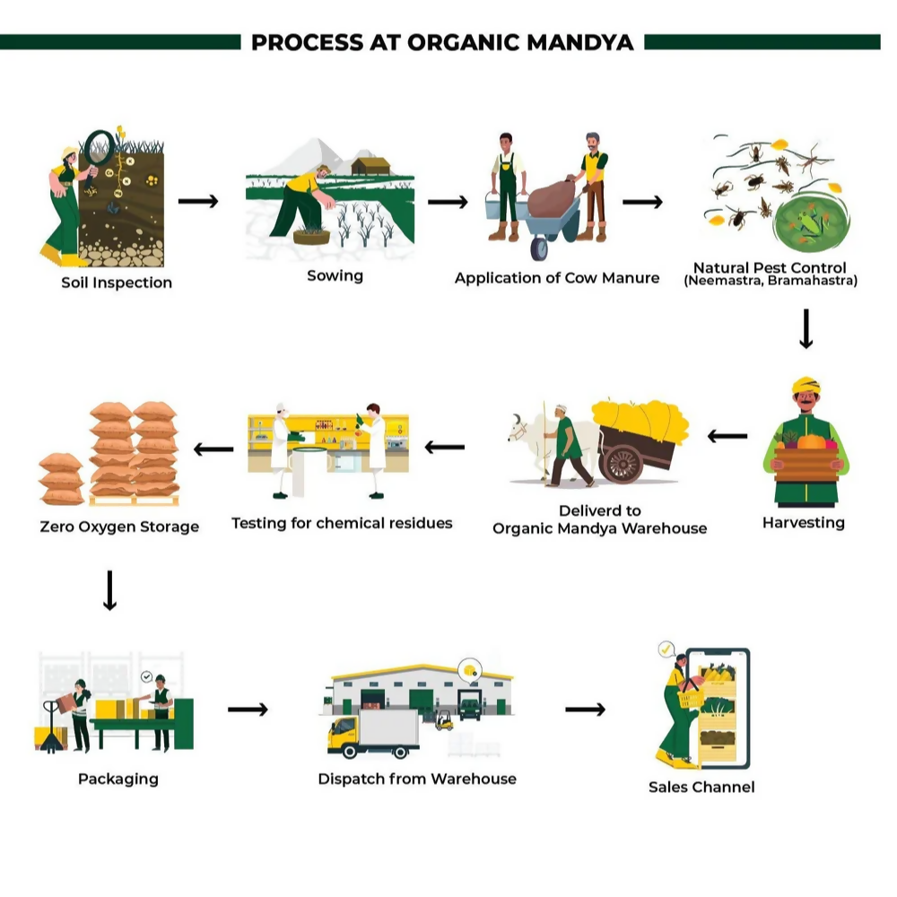 Organic Mandya Apricot
