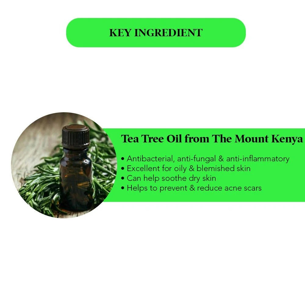 The Body Shop Tea Tree Skin Clearing Mattifying Toner  Grab2Buy The Body Shop Grab2Buy