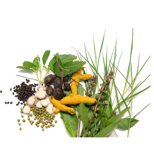 Isha Life Ojasvini Herbal Snanam Powder (Bath Powder) - Grab2buy