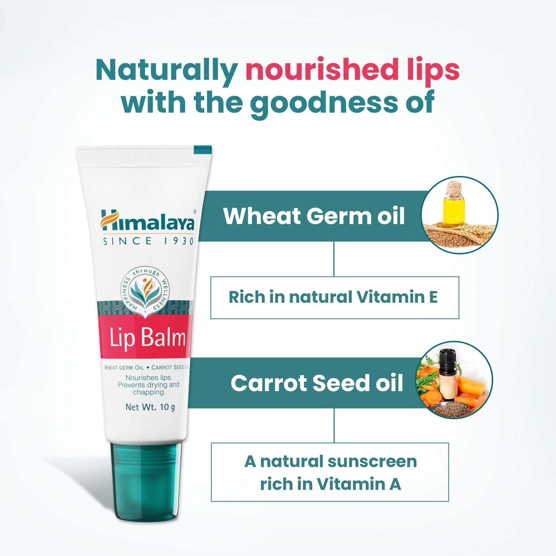 Himalaya Herbals Lip Balm | Ayurvedic Moisturizing Lip Care for Soft, Healthy Lips 
