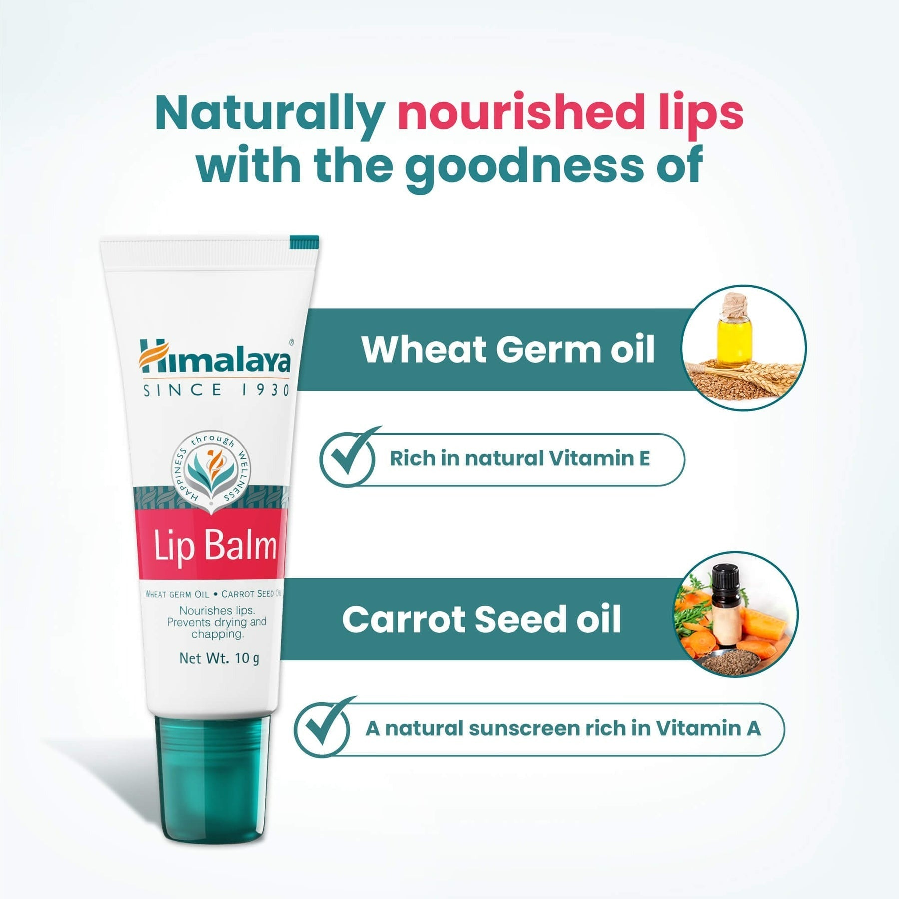 Himalaya Herbals Lip Balm | Ayurvedic Moisturizing Lip Care for Soft, Healthy Lips 