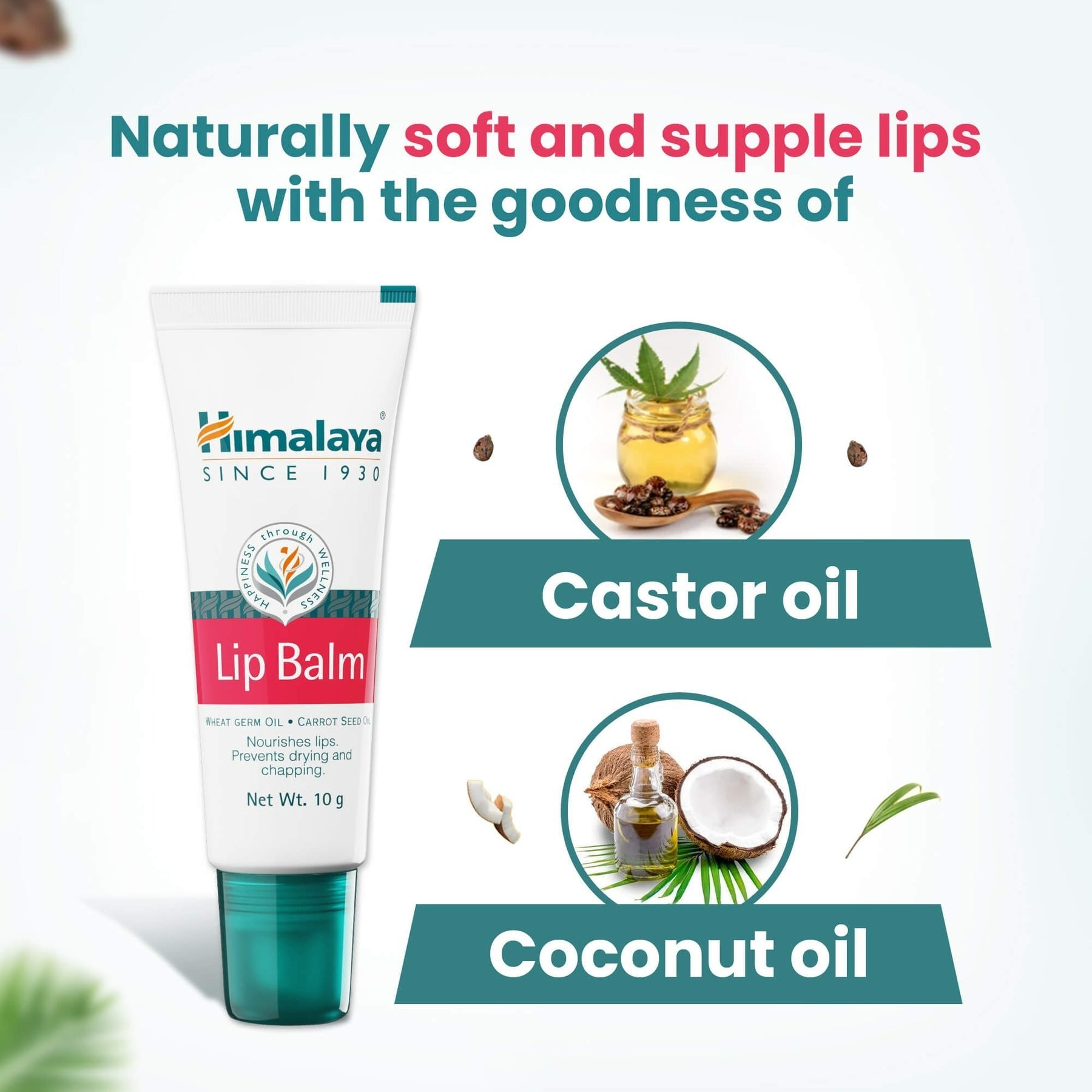 Himalaya Herbals Lip Balm - Distacart