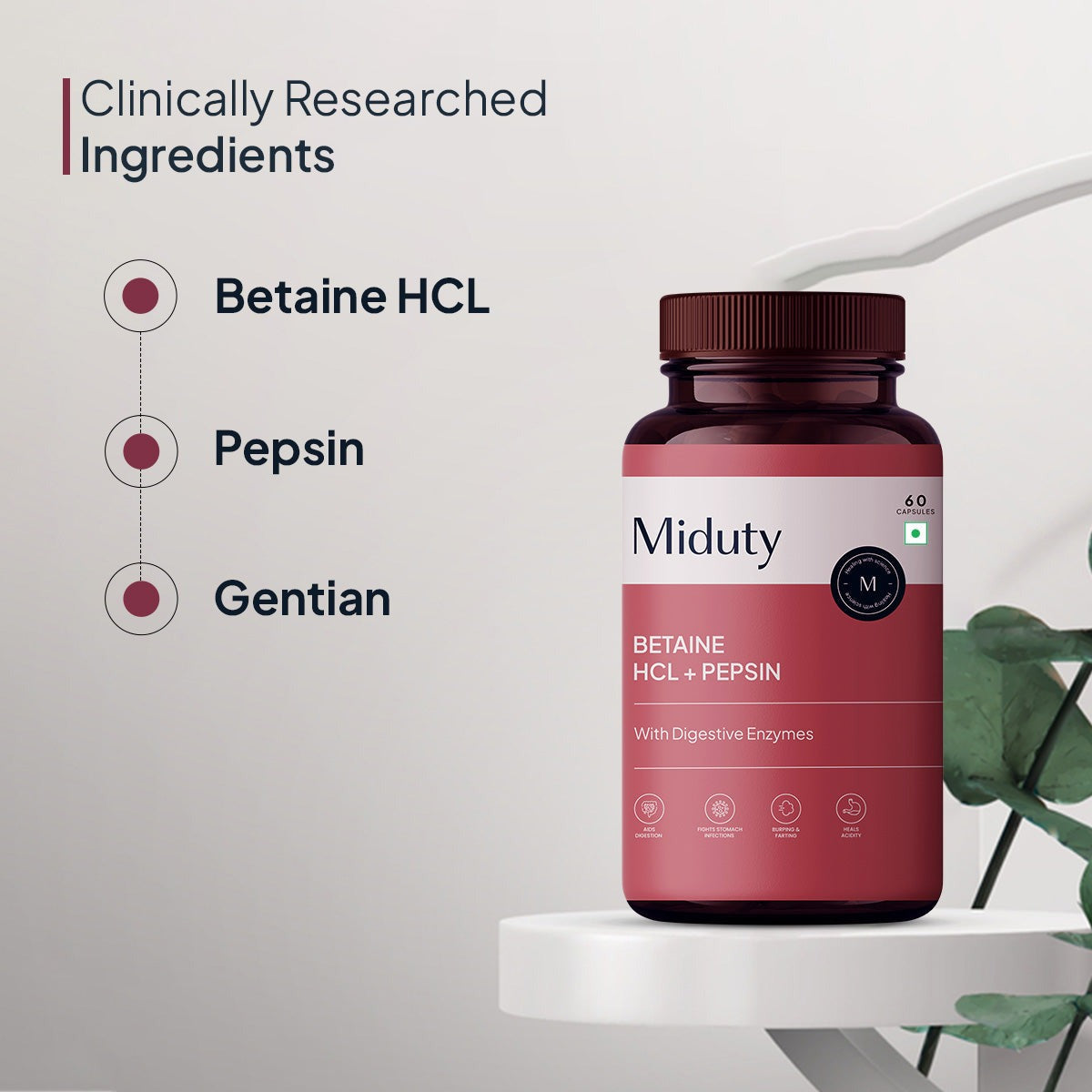 Miduty by Palak Notes Betaine HCL + Pepsin Capsules 