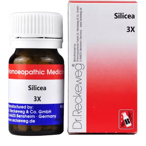 Dr. Reckeweg Silicea Biochemic Tablets | Grab2Buy