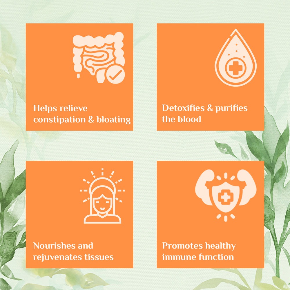 Organic India Triphala Capsules | Certified Organic Digestive Detox & Gut Health Supplement 