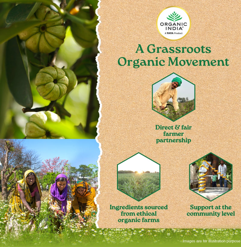 Organic India Garcinia Capsules 