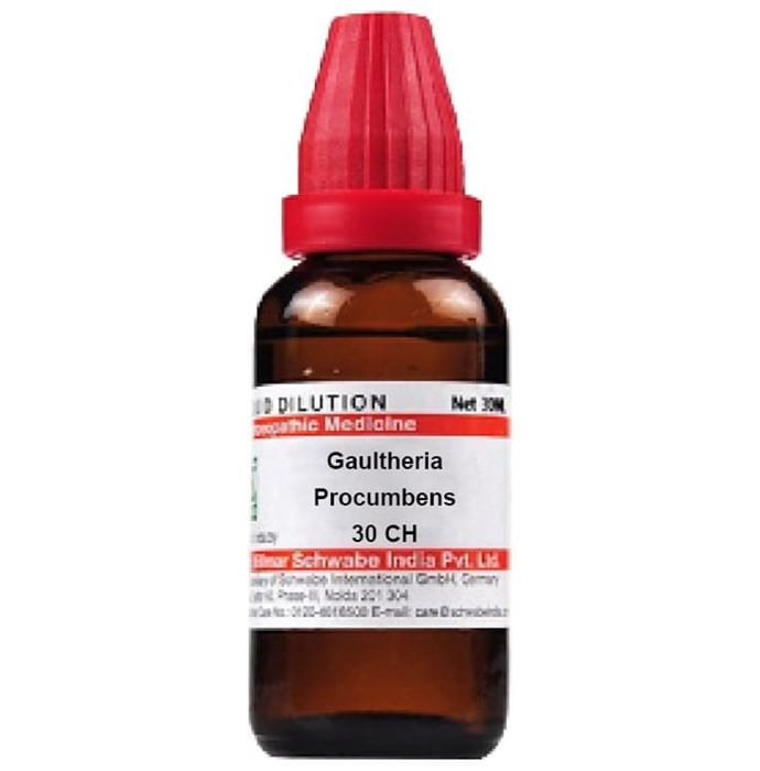 Dr. Willmar Schwabe India Gaultheria Procumbens Dilution - Grab2buy