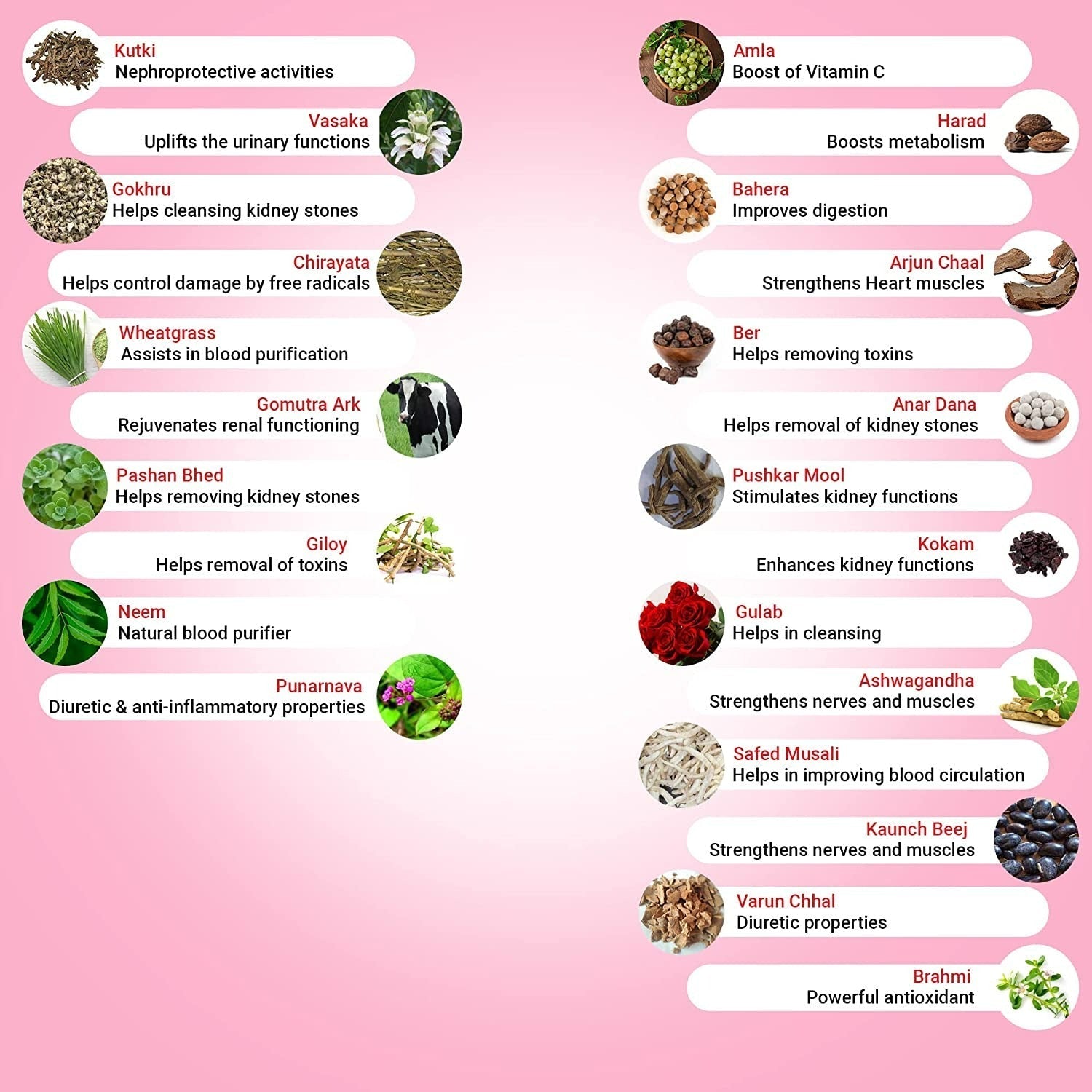 Krishna's Herbal & Ayurveda Kidney Relive Juice 