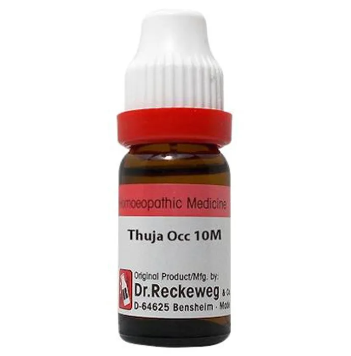 Dr. Reckeweg Thuja Occ Dilution - Grab2buy