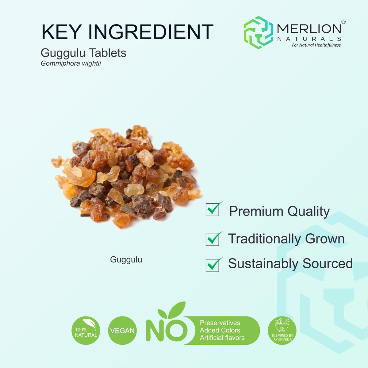 Merlion Naturals Guggulu 500mg Tablets 