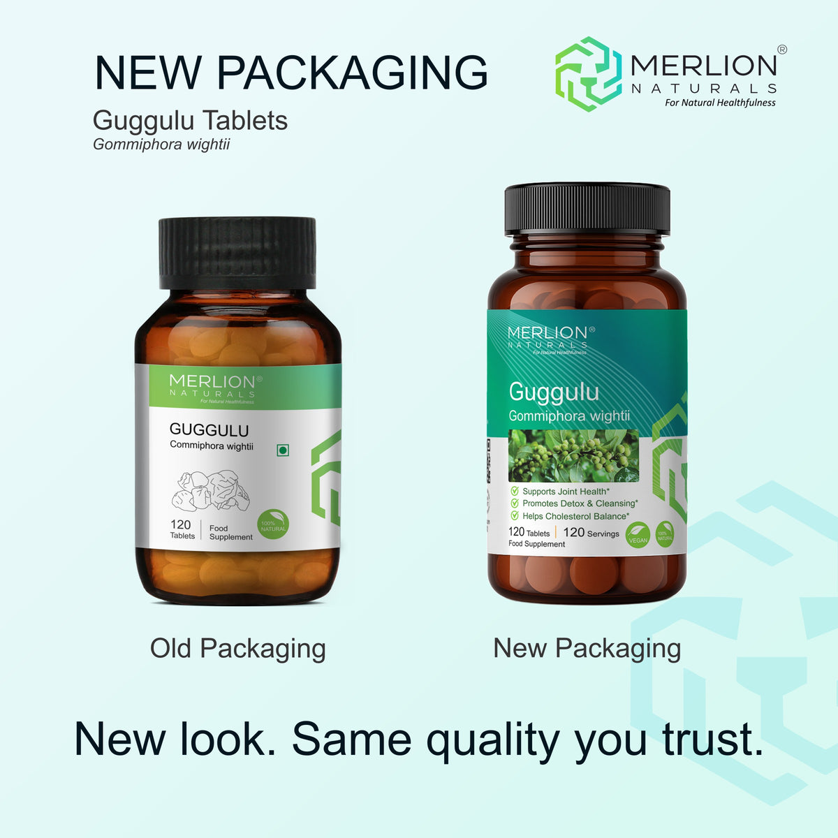 Merlion Naturals Guggulu 500mg Tablets 