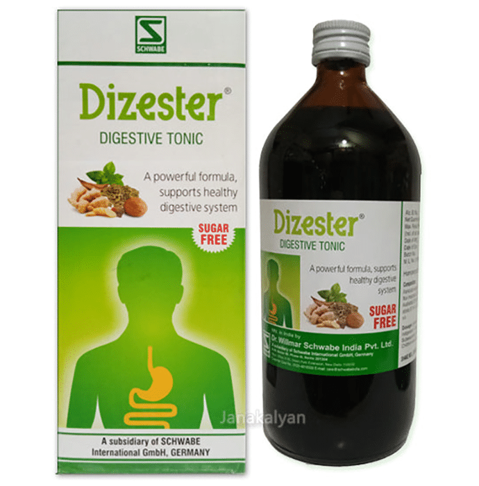 Dr. Willmar Schwabe India Dizester Herbal Digestive Tonic (Sugar-Free) 