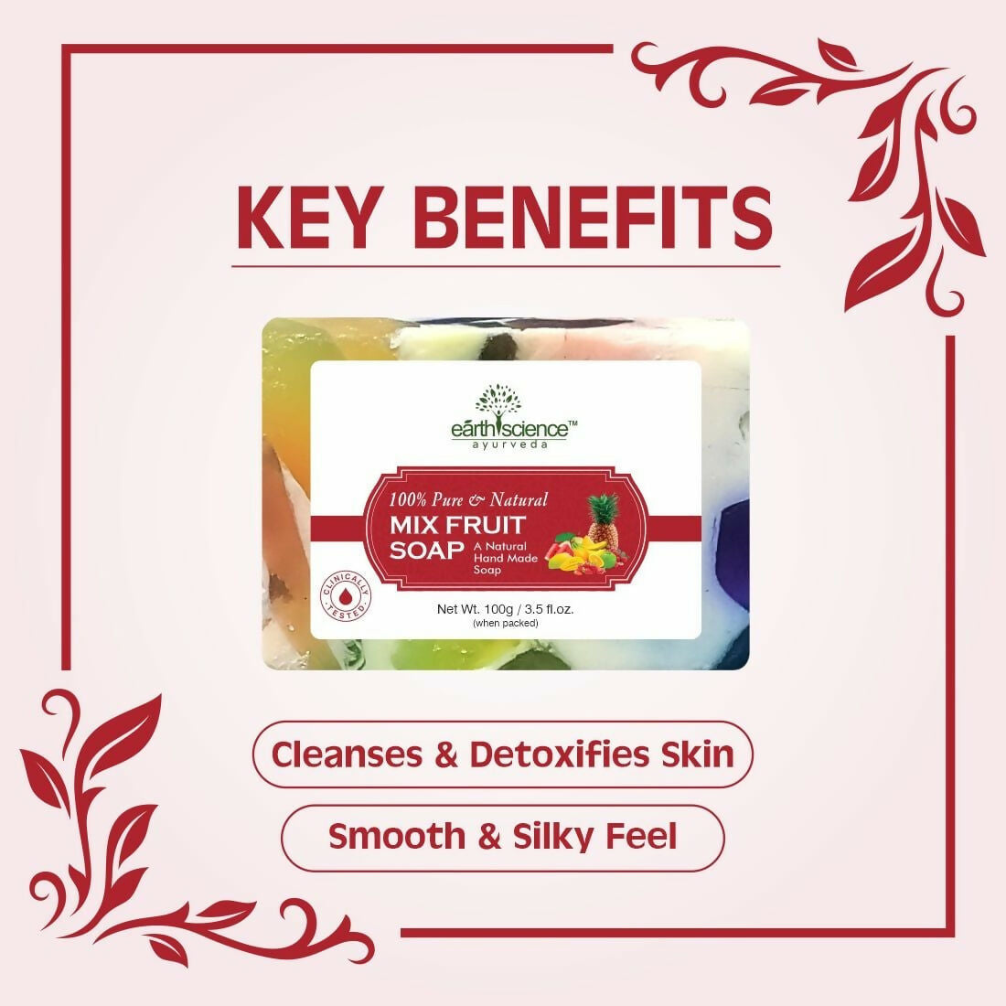 Earth Science Ayurveda Mix Fruit Bath Soap 