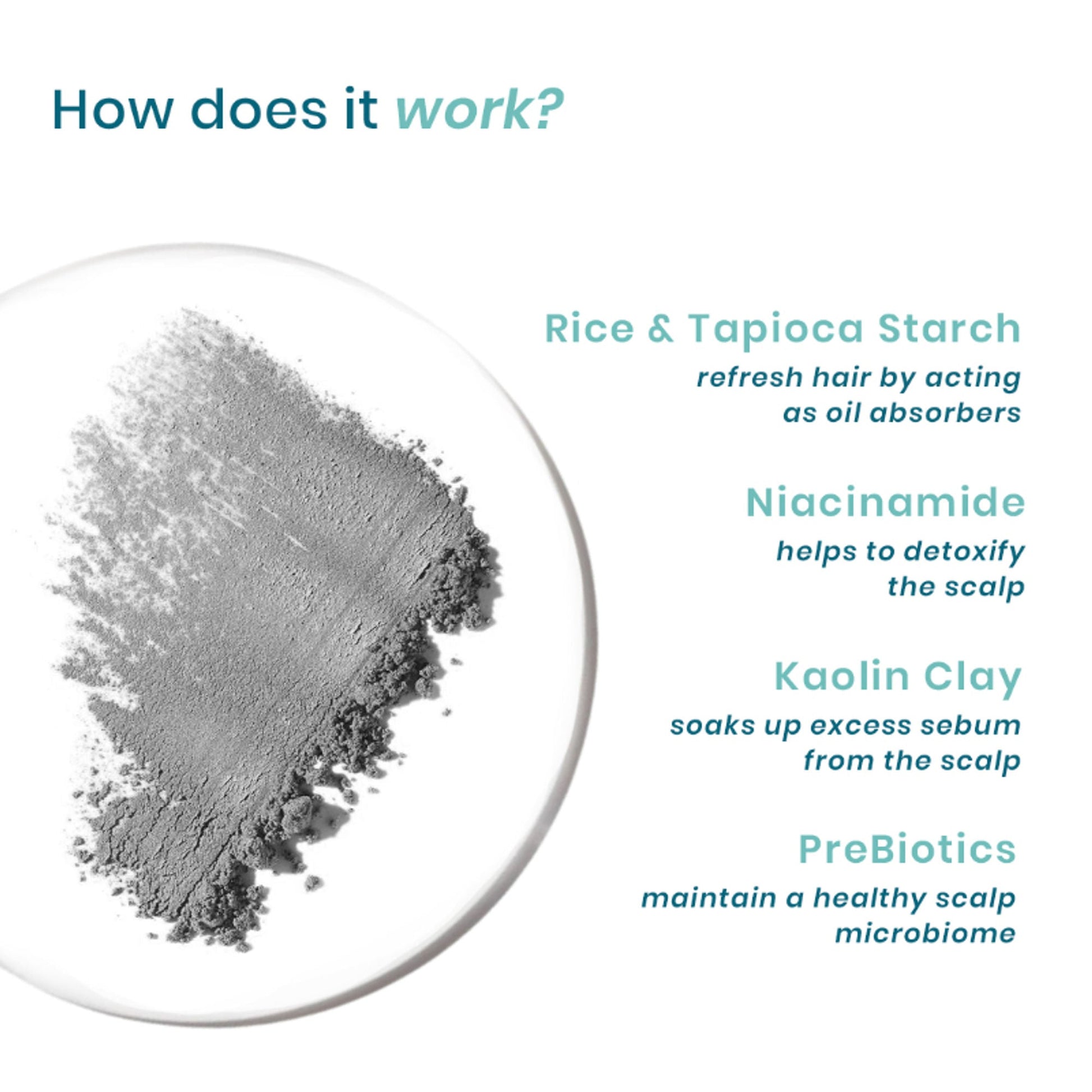 Wishcare Air Powder Dry Shampoo for Oily Hair & Scalp - No White Cast & Aerosol - Volume Boost  Grab2Buy Wishcare Grab2Buy