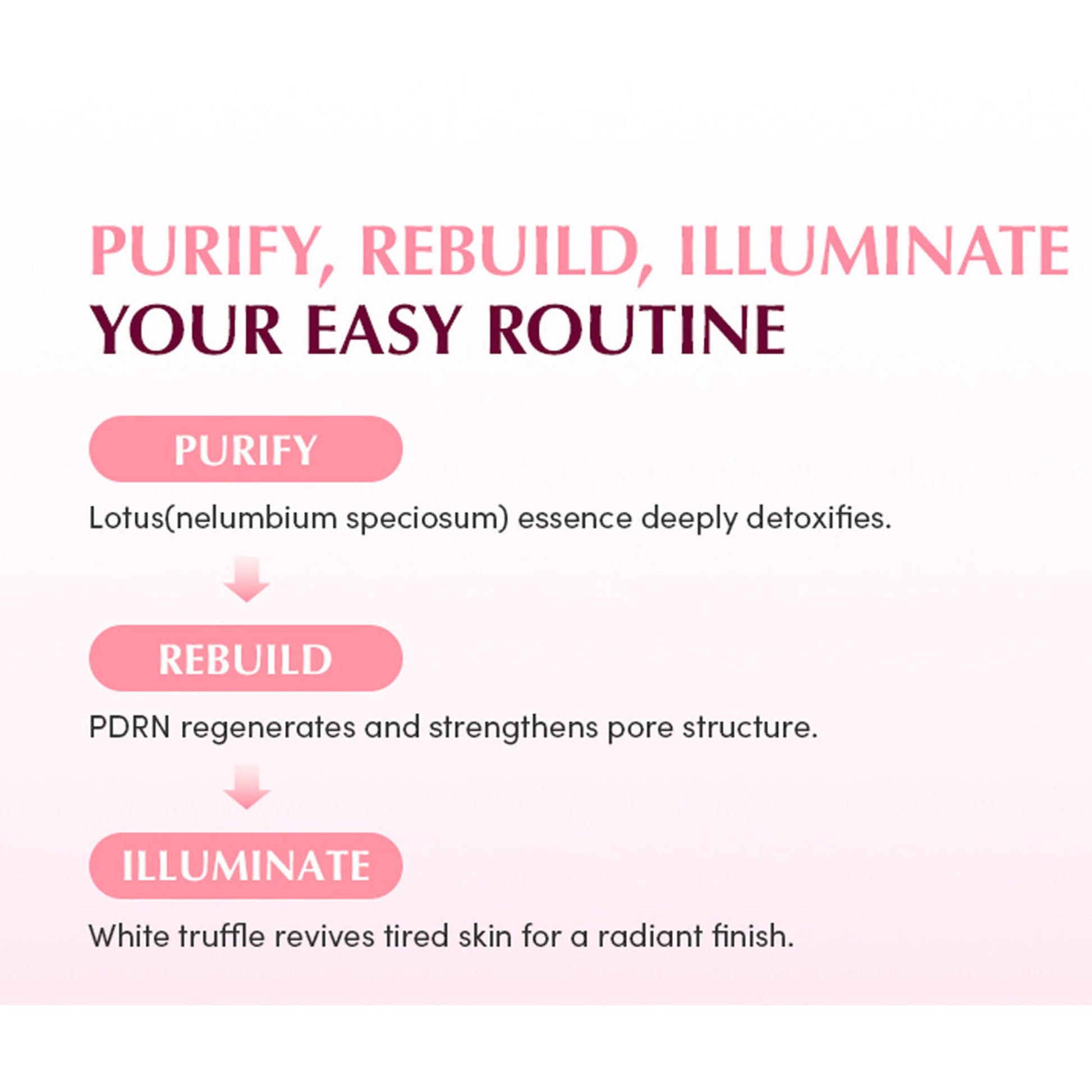 Eqqualberry Collagen Pore Tight-Up Gel Toner Pads – Hydrates & Refines Pores