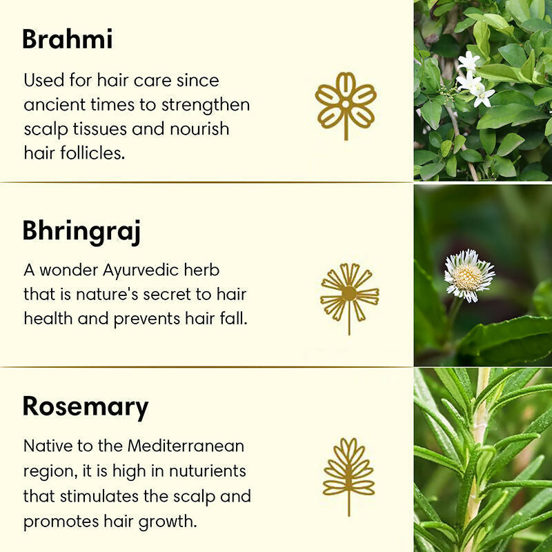 The Earth Collective Anti Hair Fall Hair Oil With Rosemary  Grab2Buy The Earth Collective Grab2Buy