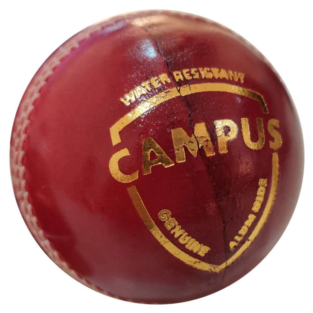 SG Campus Four Piece Leather Cricket Ball - Red 