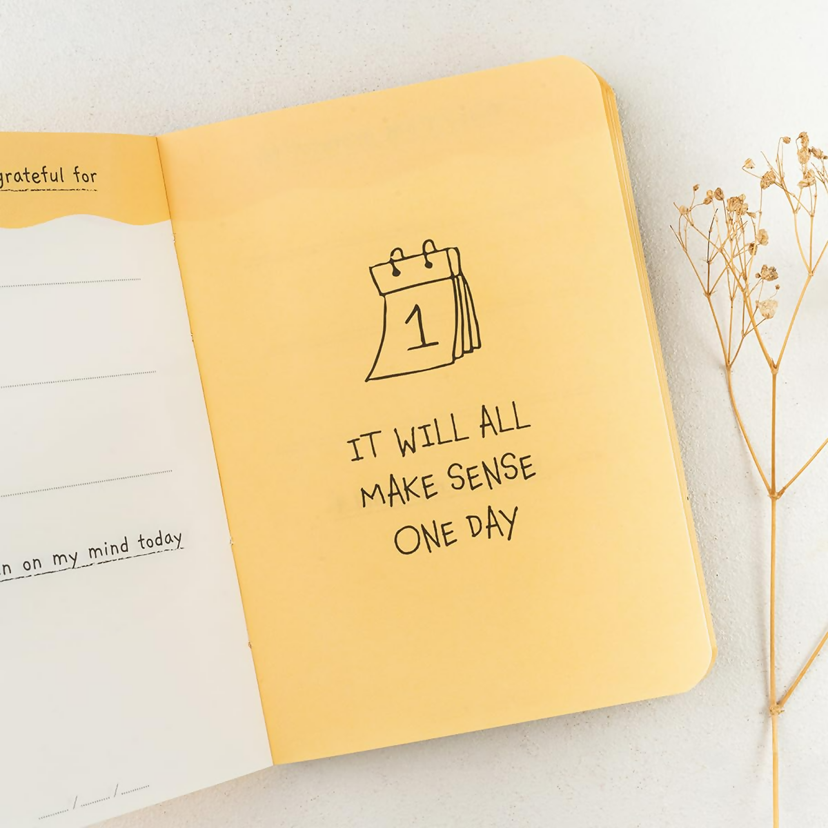 The Journal Lab Pocket Gratitude Journal Pocket Friendly For Men & Women  Grab2Buy Generic Grab2Buy