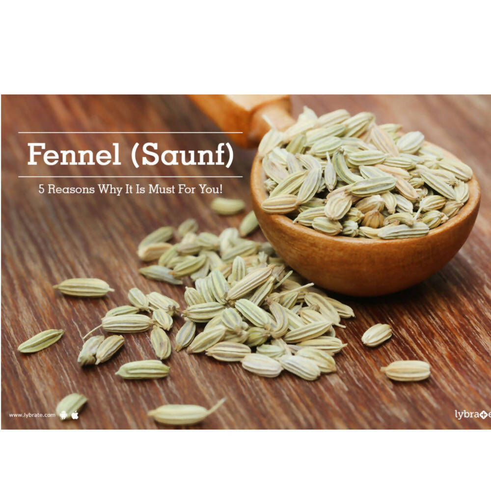 Freshon Fennel Seeds Premium 