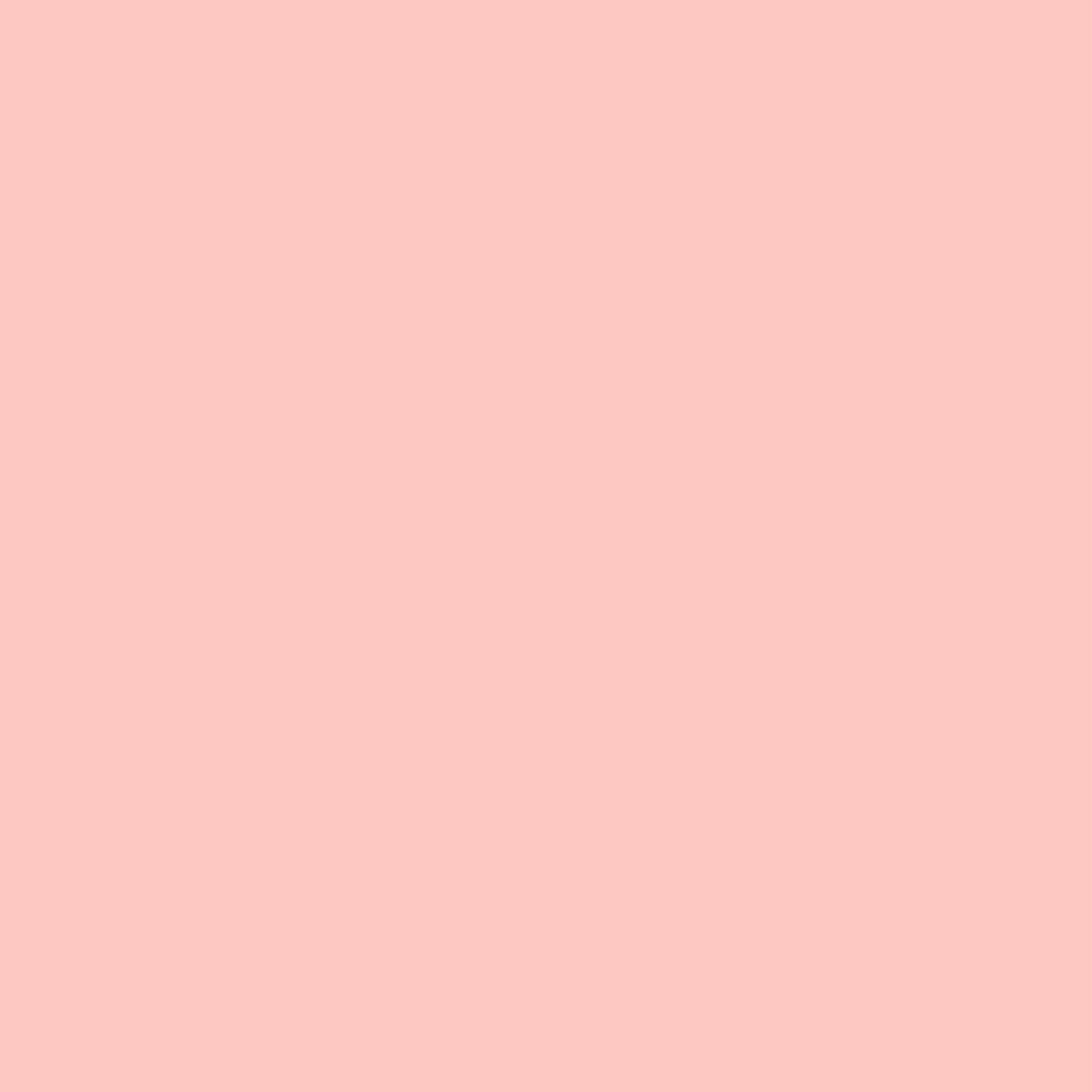 Matt Look Concealer & Anticernes SPF 20 - Blush 