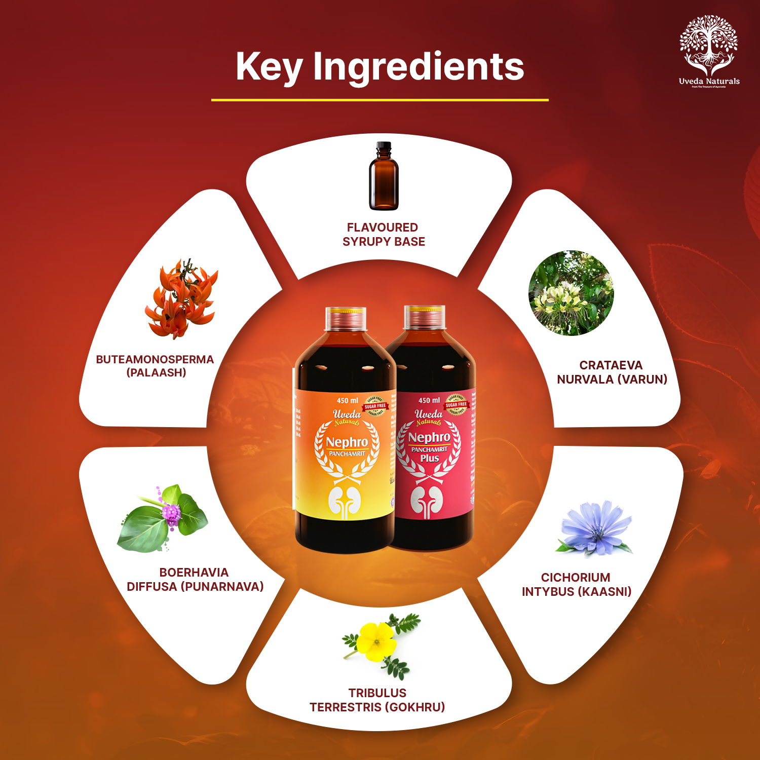 Uveda Naturals Nephro Panchamrit and Nephro Panchamrit Plus Sugar Free Combination 