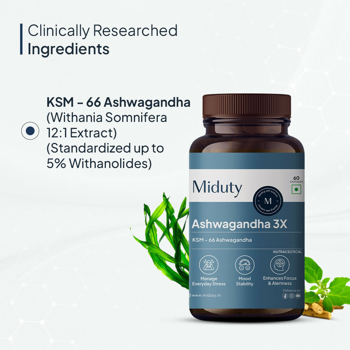 Miduty KSM 66 Ashwagandha 3x capsules 