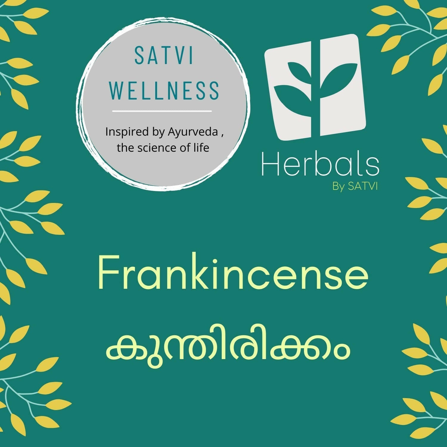 Satvi Wellness Frankincense | Kunthitikkam 