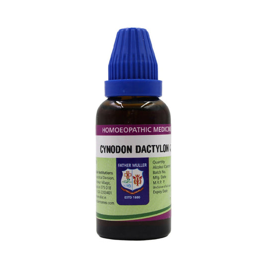 Father Muller Cynodon Dactylon Mother Tincture Q - Grab2buy