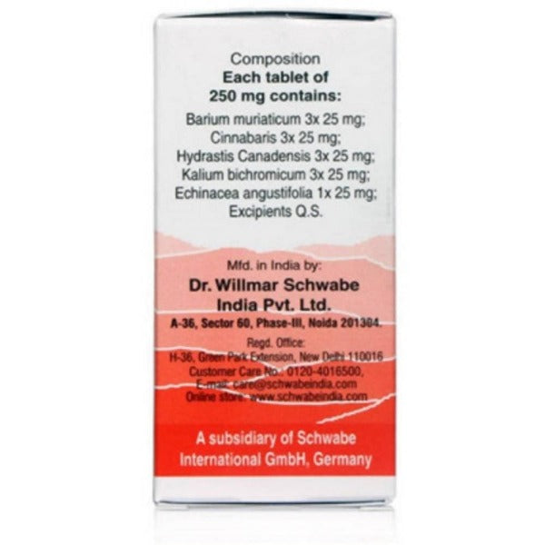 Dr. Willmar Schwabe India Alpha - SH Tablet 
