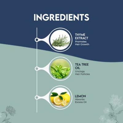 Jovees Thyme & Tea Tree Anti Dandruff Shampoo For All Hair Types 