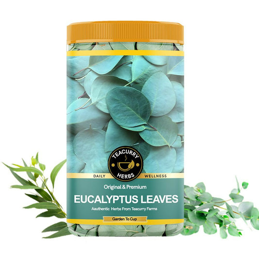 Teacurry Organic Eucalyptus Leaves - Grab2buy