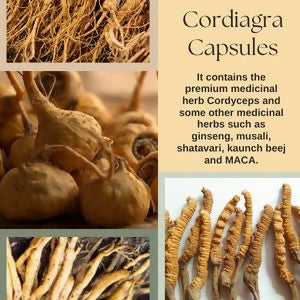 Cordy Herb Mens Sexual Health Supplement Capsules - Grab2buy