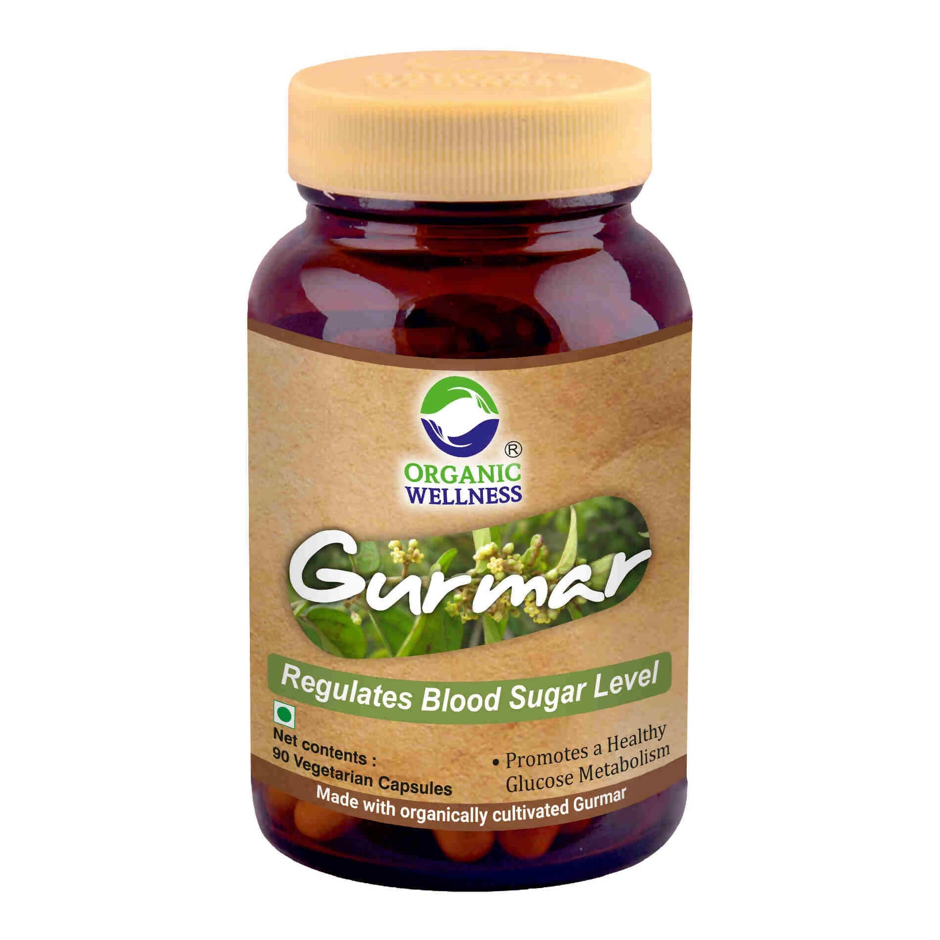 Organic Wellness Gurmar Vegetarian Capsules - Grab2buy